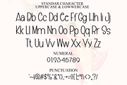 Monoline Elegance, a Sans Serif Font by FreshTypeINK (Thumbnail 6 of 8)
