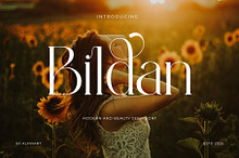 Bildan Modern Ligature Serif