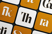 Pure Motif - An Elevated Serif Font, a Serif Font by VP Fonts (Thumbnail 26 of 27)