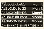 Monni Sans Serif, a Sans Serif Font by MOMI - Designer Fonts (Thumbnail 5 of 12)