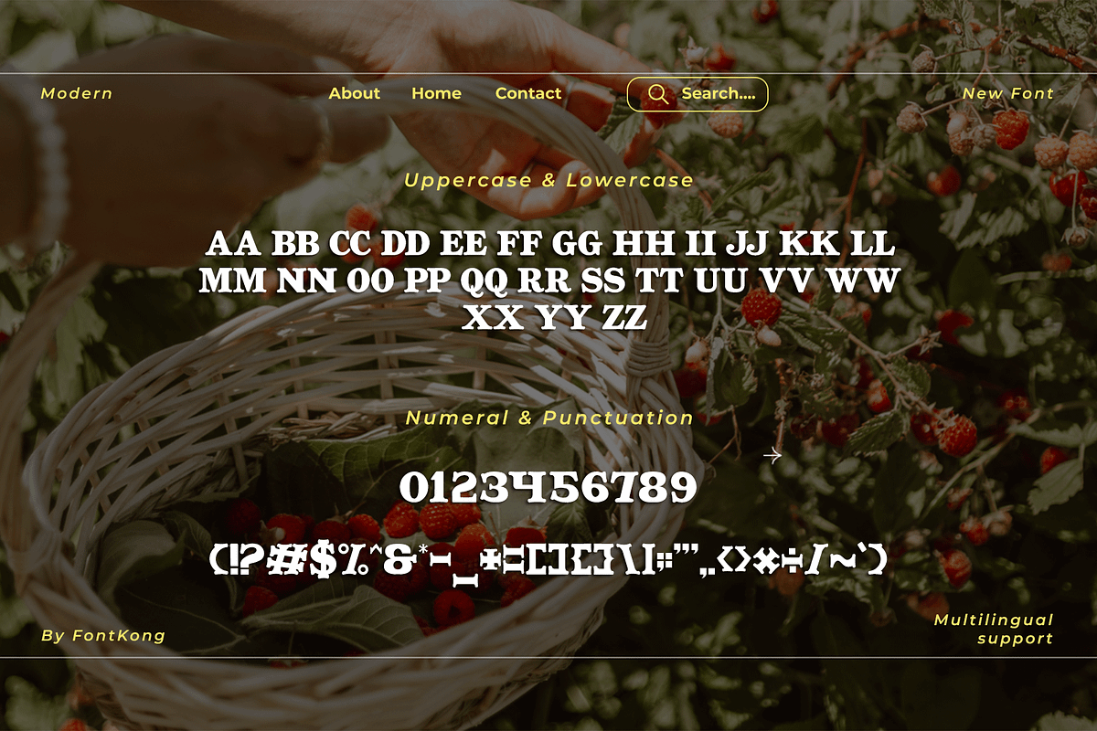 Luxeira - A Modern Classy Serif Font, a Serif Font by overlaytemplates (Photo 4 of 5)