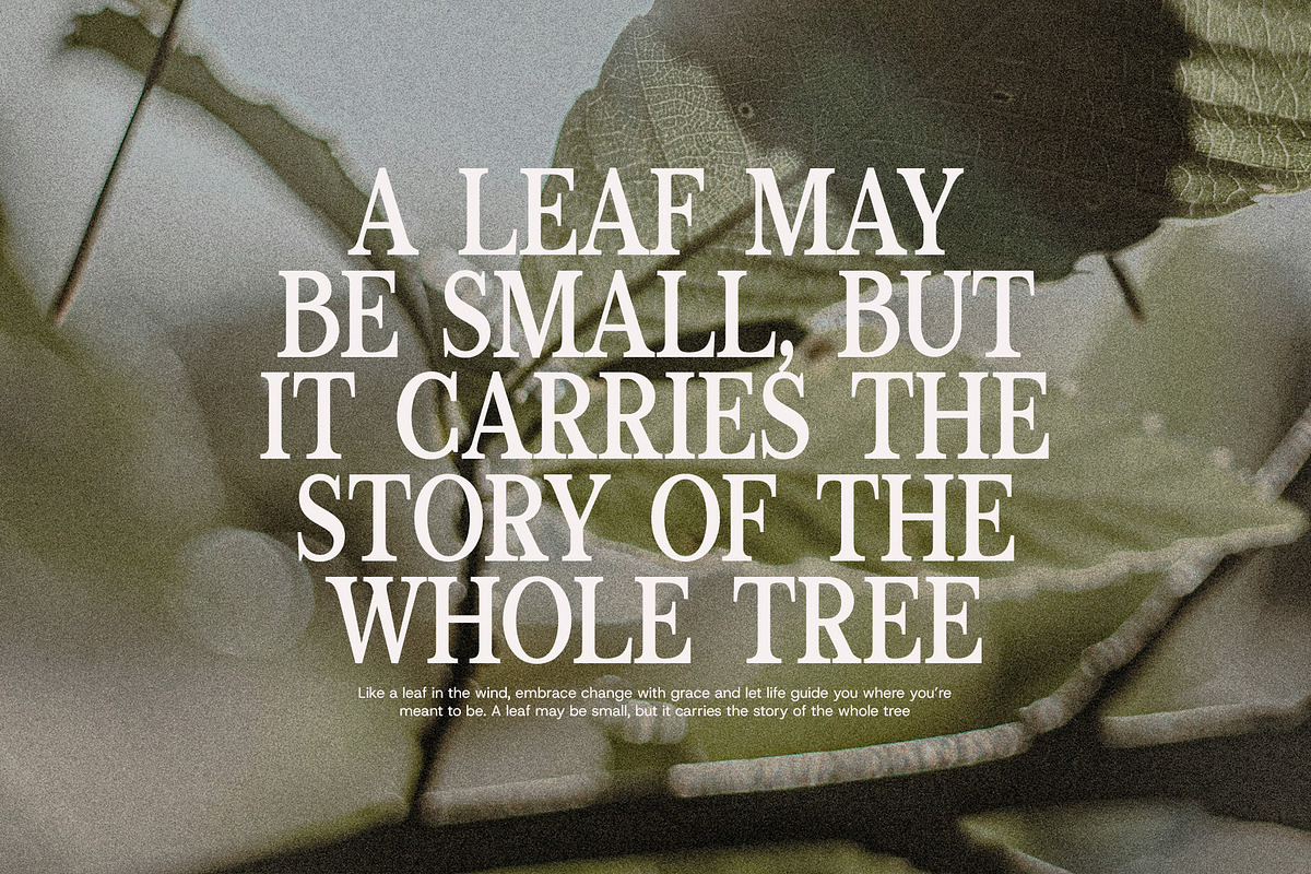 Moncky Modern Serif Font, a Serif Font by Perfectype (Photo 4 of 8)
