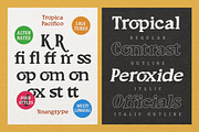 South Costalina, a Font by Youngtype.Std (Thumbnail 10 of 11)