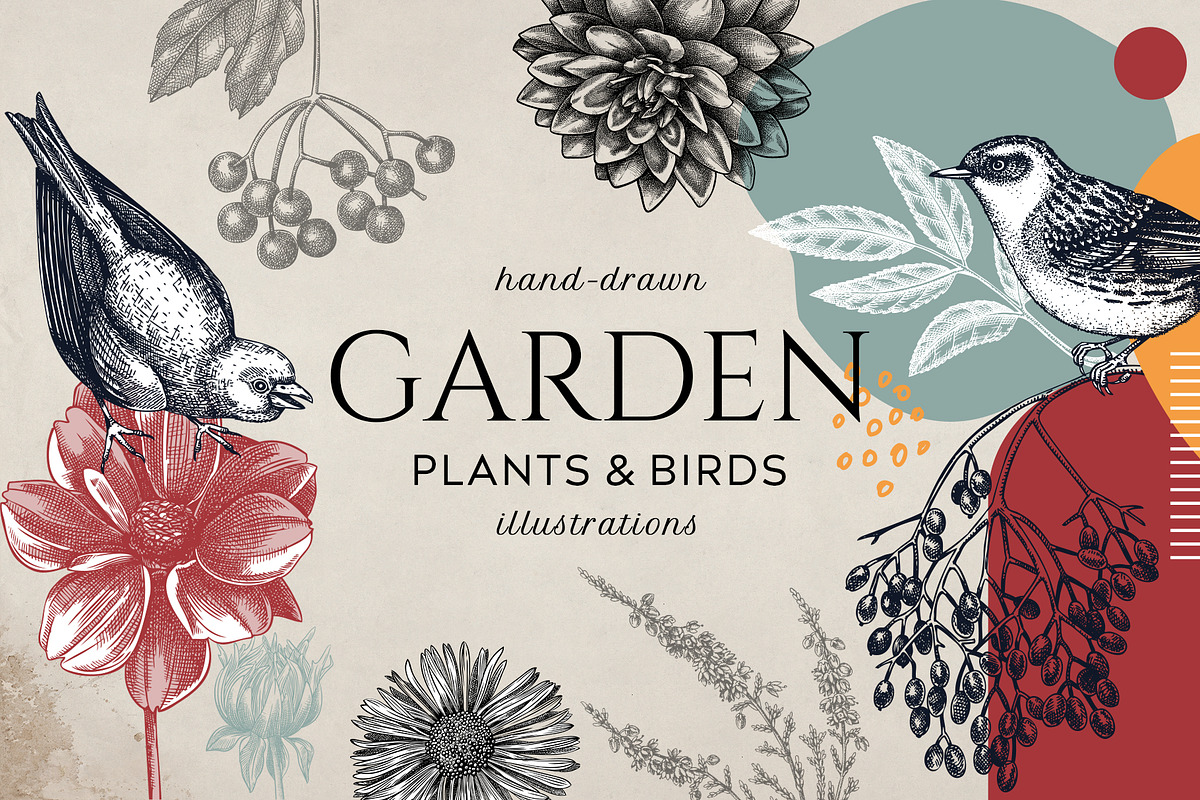 Autumn Flowers & Birds Vector Set, an Object Graphic by Yevheniia (Photo 1 of 8)