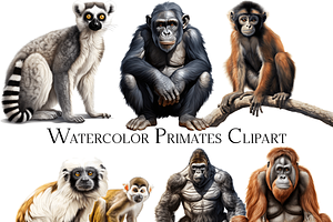 Watercolor Primate Clipart