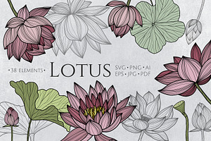 Lotus Floral Collection Vector SVG