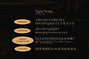 Qanducia Serif, a Serif Font by Typia Nesia (Thumbnail 10 of 10)