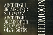Anova a Elegant & Modern Serif, a Serif Font by Lettertype Studio (Thumbnail 6 of 15)