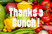 Veggie - Bold Font, a Sans Serif Font by limitype (Thumbnail 13 of 13)