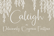 Caleigh Script Font with Bonus, a Script Font by Seven Seas Design Co. (Thumbnail 1 of 6)