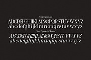 Glisstory, a Serif Font by Pista Mova (Thumbnail 16 of 20)