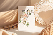Roses - watercolor flowers, an Object Illustration by ollalya (Thumbnail 2 of 8)