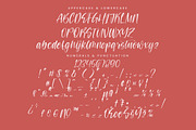 Teracota Strokes, a Script Font by Integritype Studio (Thumbnail 13 of 15)