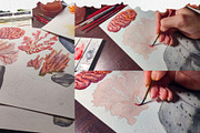 Coral Reef Watercolor Clipart, an Animal Illustration by Nastya Che (Thumbnail 3 of 14)
