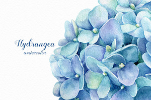 Watercolor Blue Hydrangea