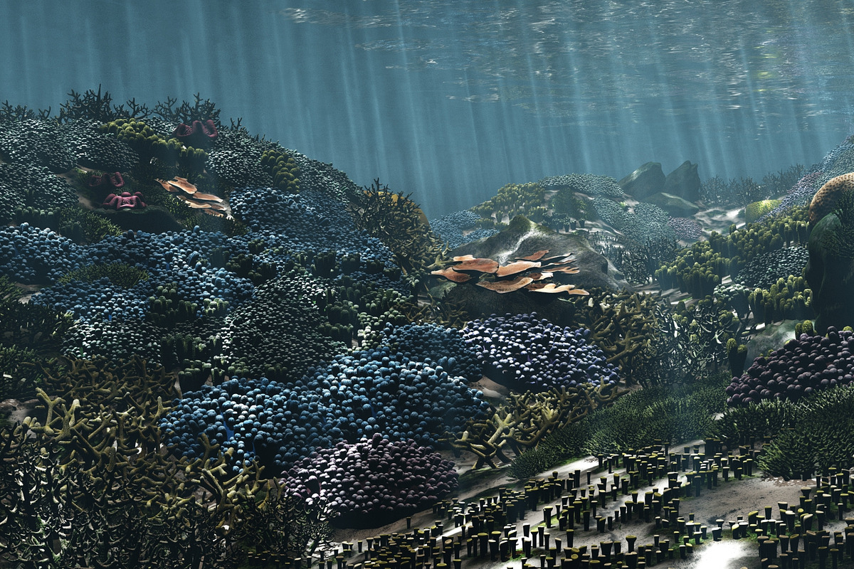 3D Cartoon Underwater Coral Reef Hab, an Environmental 3D Model by NOMODOL (Photo 24 of 24)