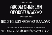 Tumbler, a Script Font by InermediaSTUDIO (Thumbnail 4 of 7)