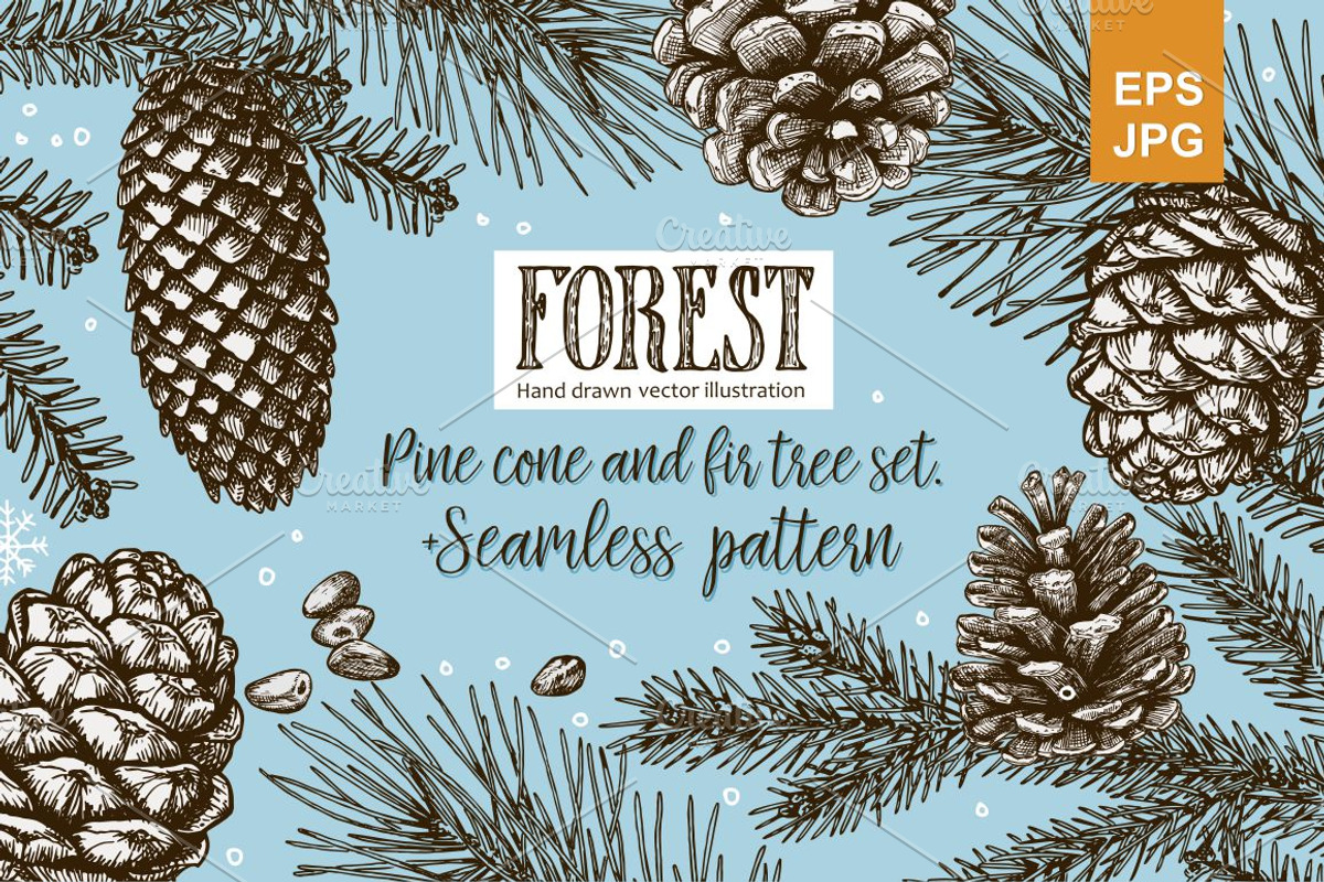 Vector fir branches, a Decorative Illustration by natadanko (Photo 1 of 4)
