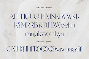 Ultra Monic Serif Display