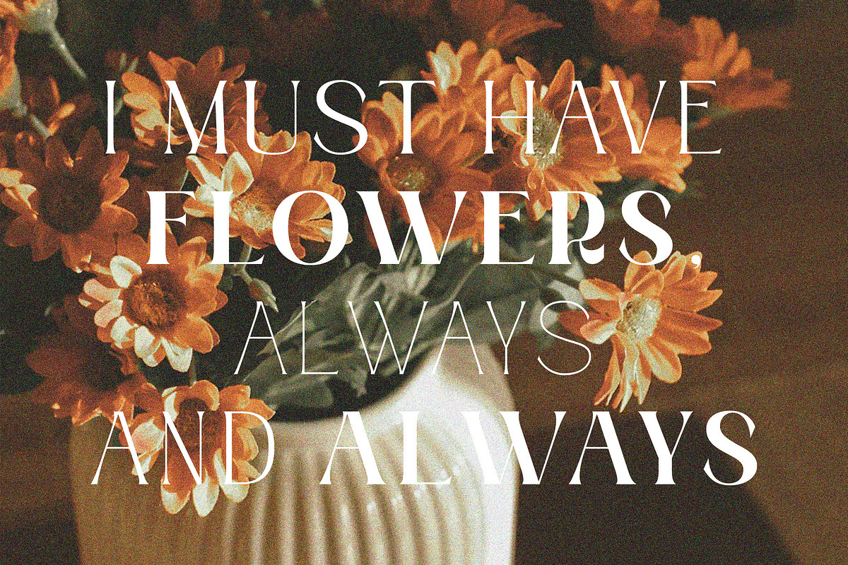 Moldyen Font Family, a Serif Font by MJtypefoundry (Photo 5 of 10)