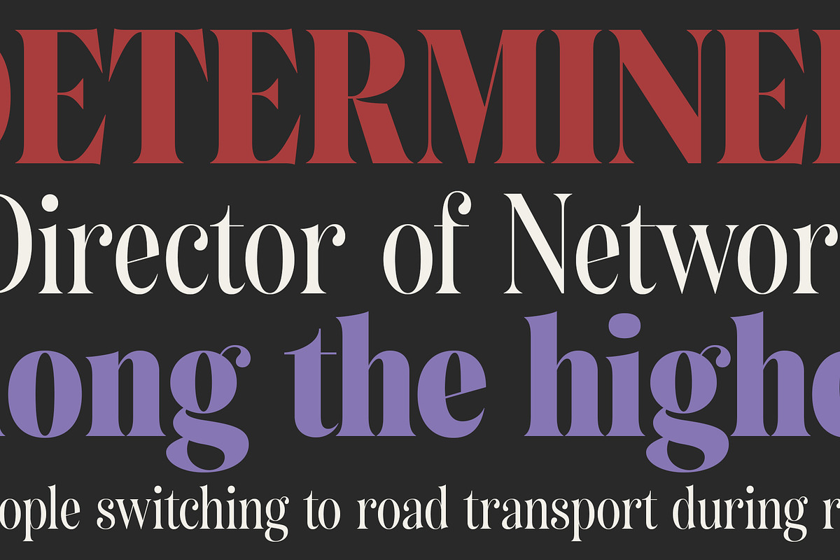 Bolognia - Classic Serif, a Serif Font by Craft Supply Co. (Photo 4 of 8)