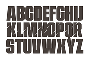 Survivel - Bold Display Font, a Sans Serif Font by overlaytemplates (Thumbnail 4 of 6)
