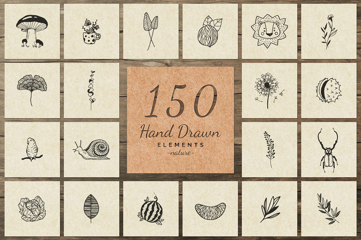 2000 Hand Drawn Elements, an Animal Illustration by Michael Rayback Design (Photo 4 of 29)