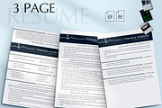 Modern Nurse Resume Template Word, a Resume Template by Career Canvas (Thumbnail 3 of 11)