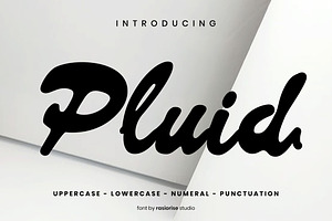 Pluid a Script Font, a Script Font by Rasiorise Studio