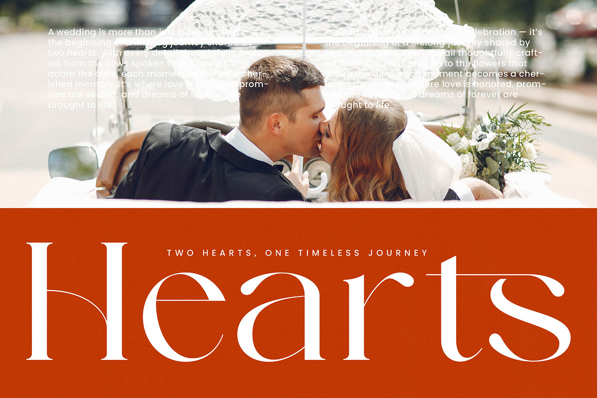 Strikes Against Modern Serif Font, a Serif Font by timelesstype.co (Photo 5 of 20)