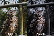 Instashades Lightrooom Presets, a Preset Add-On by Voleshads (Thumbnail 6 of 10)