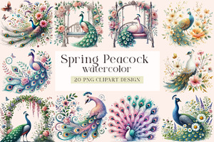 Spring Peacock Clipart, a Seasonal Illustration by DreamArtGraphic