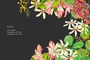 Vintage flowers and leaves, a Decorative Illustration by AS Studio (Thumbnail 2 of 4)