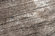 Natural wood texture patterns, a Background Photo by Schreibikus (Thumbnail 2 of 8)