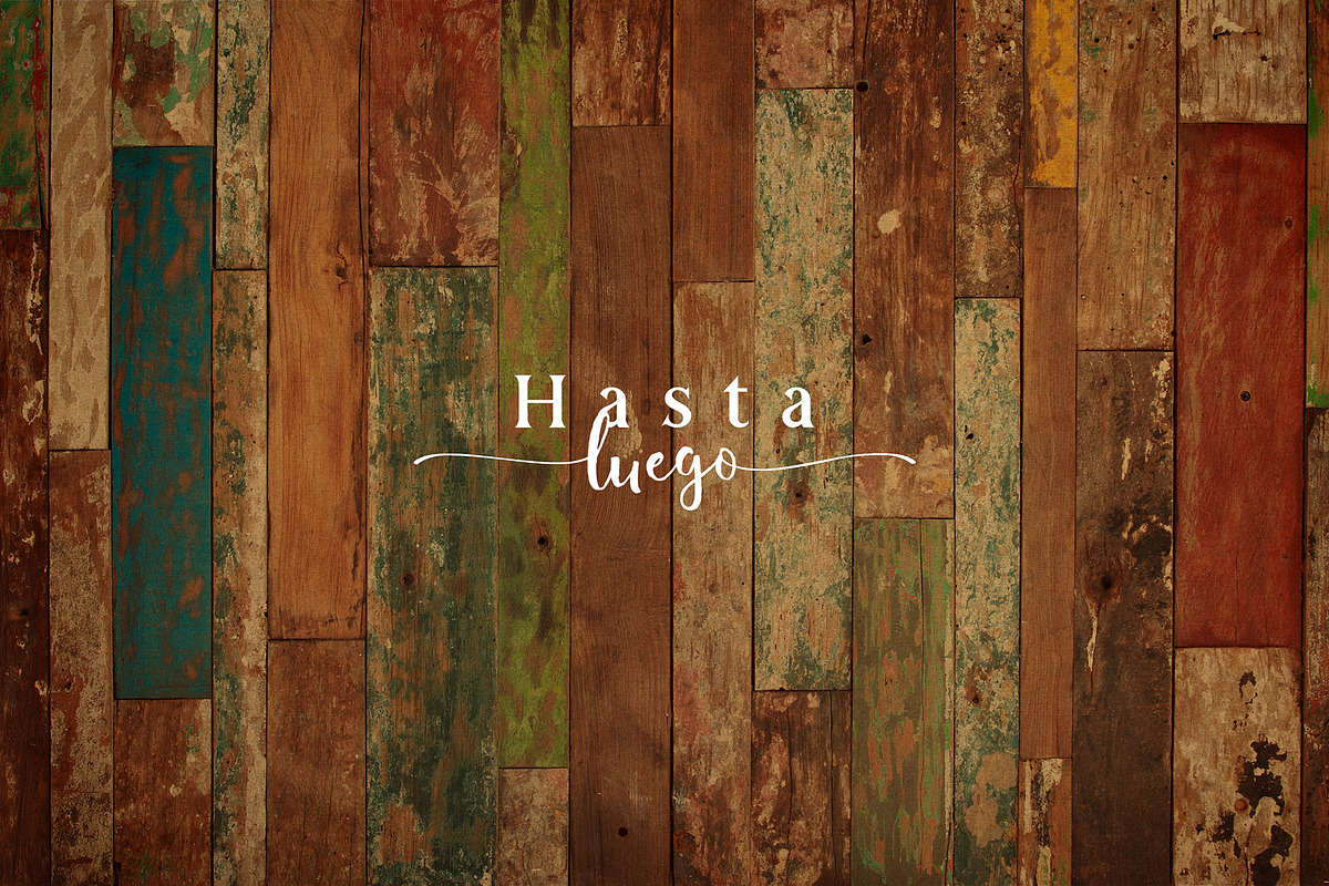 Alocasia-Trio Font Combination, a Script Font by Burntilldead (Photo 17 of 17)