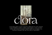 Rouncile - Clean Display Serif, a Serif Font by InkwellTypeCo (Thumbnail 2 of 11)