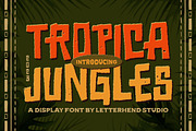 Tropica Jungles - Display Font, a Handwritten Font by Letterhend Studio (Thumbnail 1 of 9)