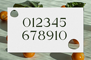 The Calling Monday - Modern Stylish, a Serif Font by RockboyStd (Thumbnail 9 of 12)