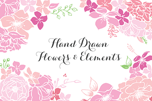 Hand drawn flowers & elements