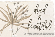Dried flowers and backgrounds, an Object Graphic by dasha mo (Thumbnail 1 of 6)