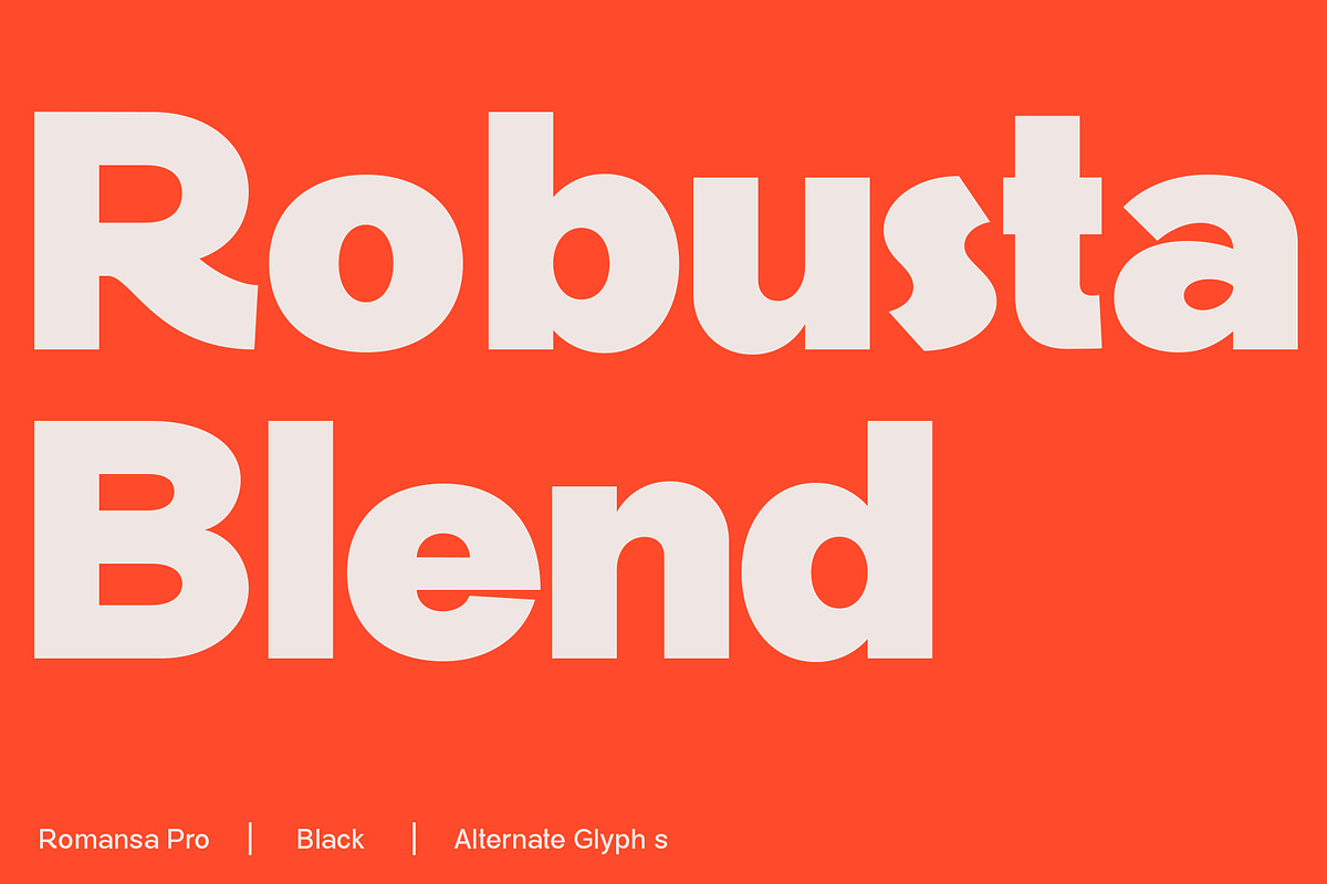 Romansa Pro, a Sans Serif Font by Teweka (Photo 2 of 9)