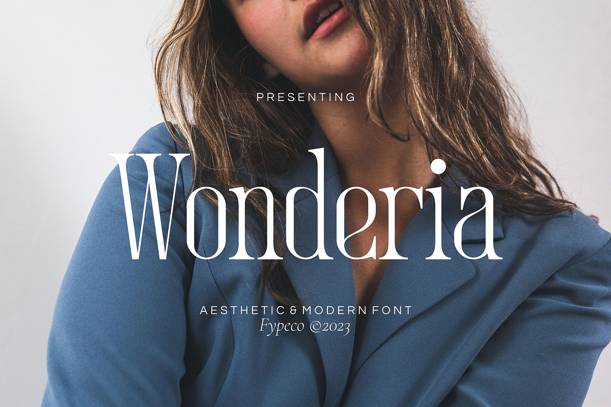 Wonderia - Aesthetic Font, a Serif Font by Fype Co. (Photo 1 of 5)