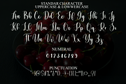 September Holiday, a Handwritten Font by FreshTypeINK (Thumbnail 7 of 8)