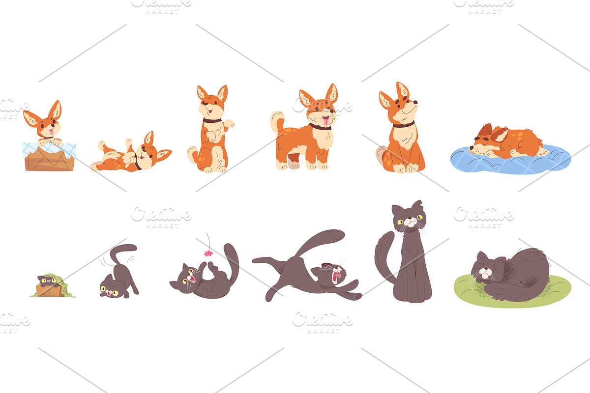 Pets growth stages. Dog cat life, an Animal Illustration by Stock-Smart-Start