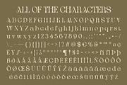 Qianzy Rough, a Serif Font by Craft Supply Co. (Thumbnail 8 of 8)