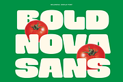 Boldnova - Bold Font, a Sans Serif Font by limitype (Thumbnail 1 of 10)