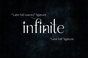 Late Fall - floral font duo, a Serif Font by Innire (Thumbnail 9 of 12)