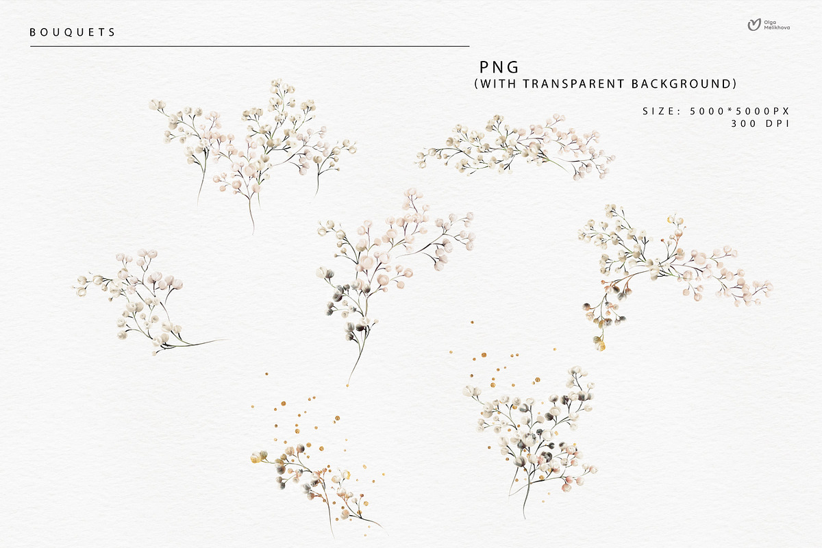 Gypsophila - watercolor flowers, an Object Illustration by ollalya (Photo 4 of 8)
