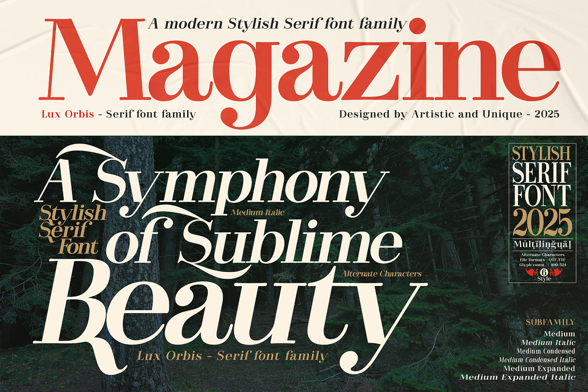 Lux Orbis - Serif font family, a Font by Artistic & Unique (Photo 6 of 15)