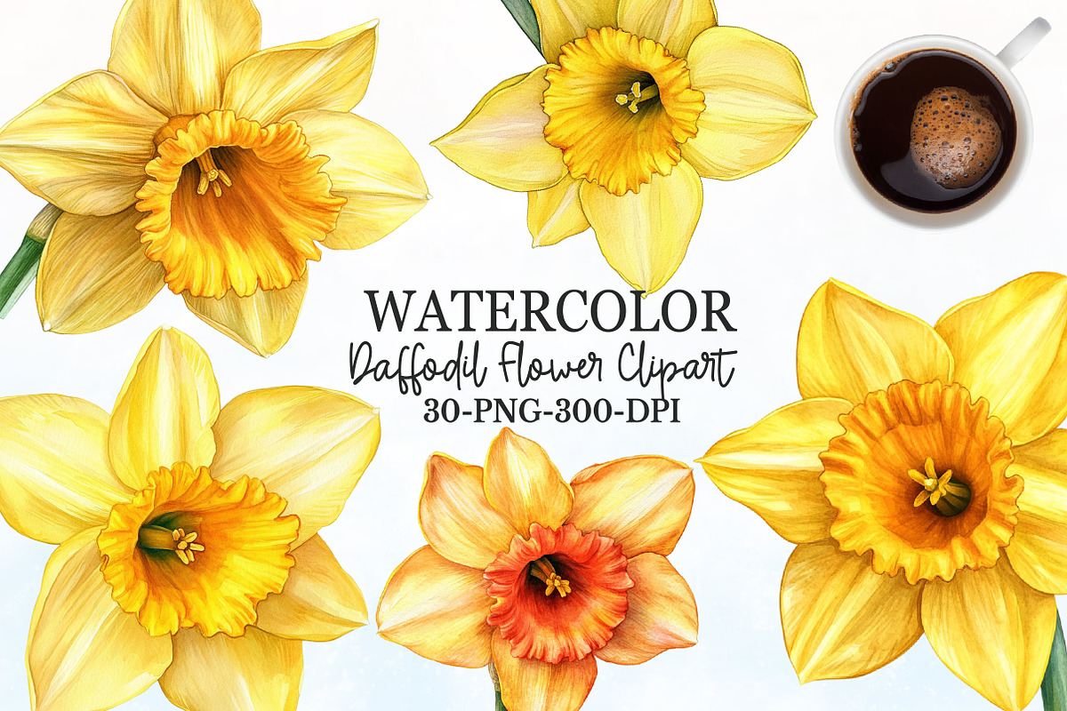 Daffodil Flower Bloom Clipart, an Illustration by Rose Art (Photo 1 of 6)